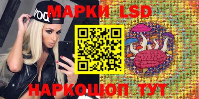 spice Малгобек