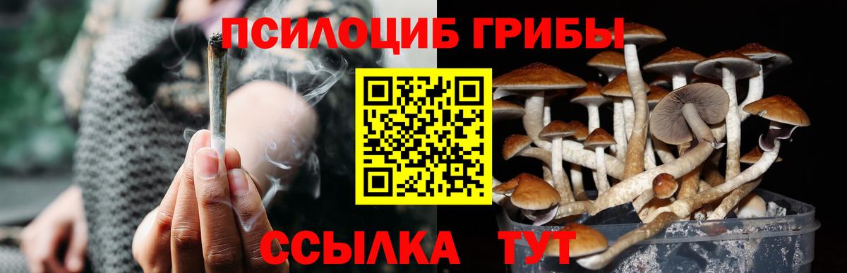 Галлюциногенные грибы Cubensis  Галлюциногенные грибы Cubensis  Вход с VPN  Железноводск 